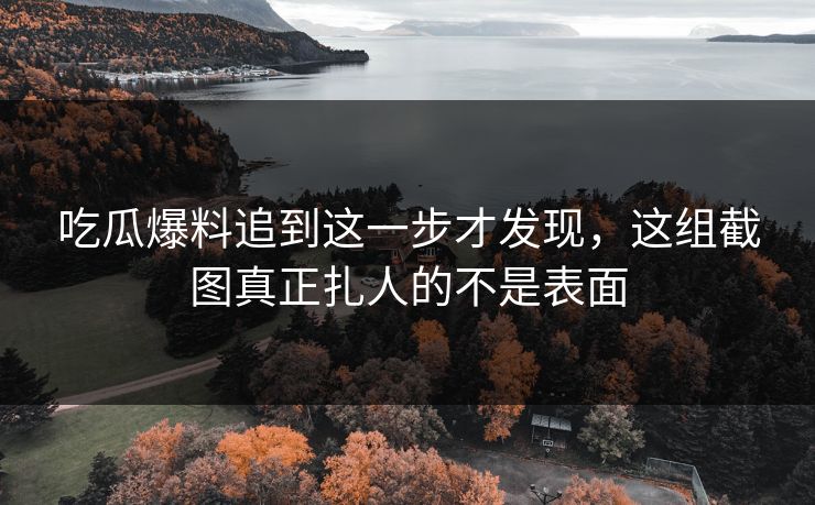 吃瓜爆料追到这一步才发现，这组截图真正扎人的不是表面